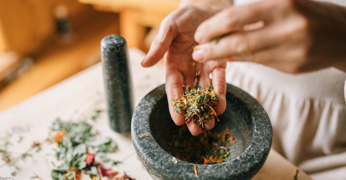 explorez le pouvoir des remèdes naturels pour améliorer votre santé et votre bien-être. découvrez des traitements sûrs et efficaces utilisant des herbes, des huiles essentielles et d'autres ingrédients naturels pour soulager les affections courantes et promouvoir un mode de vie équilibré.