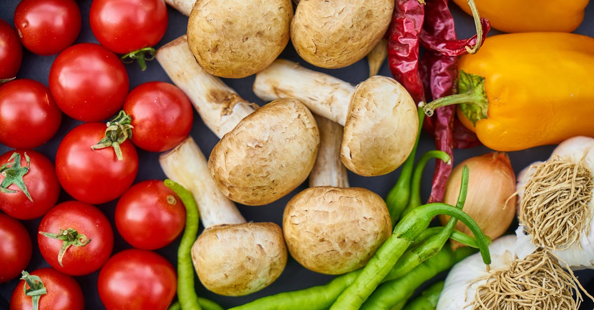 découvrez l'importance de la nutrition pour un mode de vie sain. explorez les nutriments clés, les régimes alimentaires équilibrés et les conseils pour optimiser vos repas pour une meilleure santé et un meilleur bien-être.