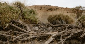 explore the causes, symptoms, and effects of dehydration, along with essential tips for prevention and effective treatments. stay informed to maintain optimal hydration and overall health.