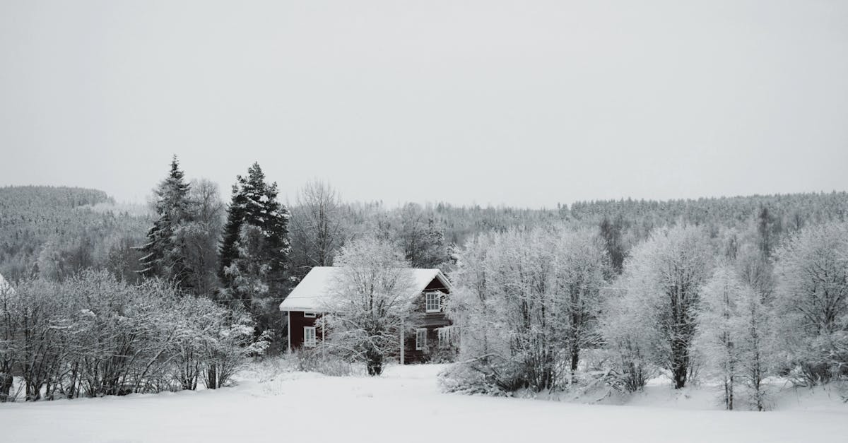 et l'équilibre naturel. Dans cet article, nous explorerons des stratégies efficaces pour soulager la douleur à l'épaule et améliorer la mobilité tout en atténuant progressivement les symptômes associés à l'épaule gelée.