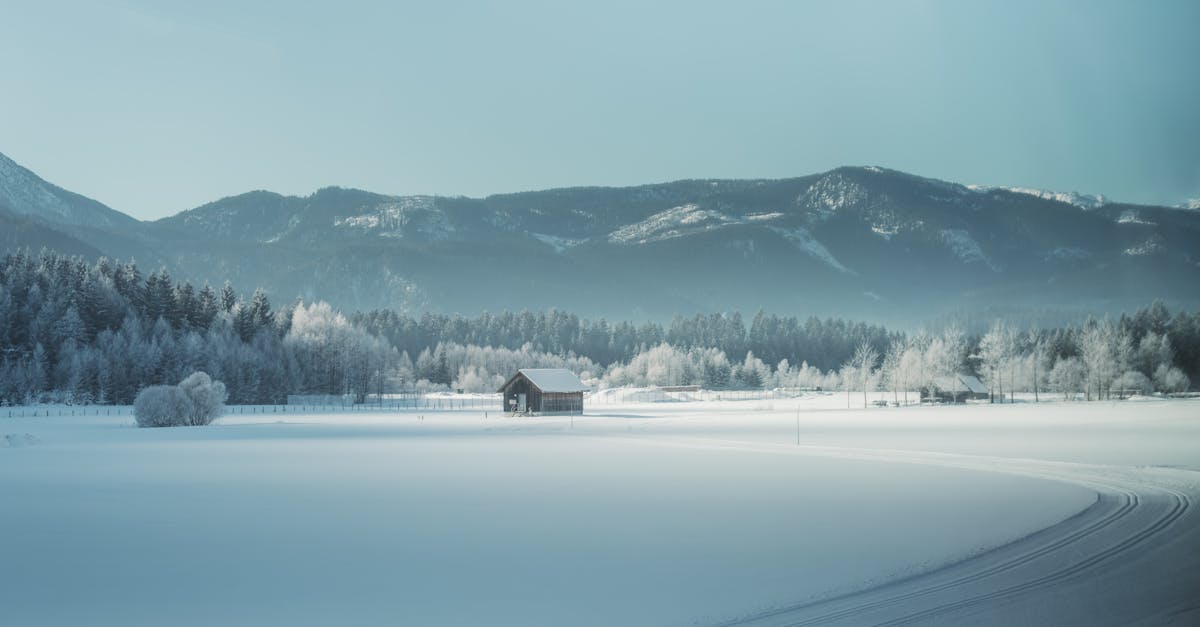 , nous vous invitons à explorer l’impact transformateur de nos services. Pour trouver la clinique la plus proche, visitez notre