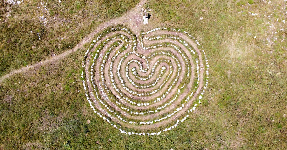 et ailleurs, prendre rendez-vous est simple. N'oubliez pas que Pulse Align complète vos services de santé existants en offrant une approche holistique du bien-être. Découvrez dès aujourd'hui comment Pulse Align peut s'intégrer au parcours de santé de votre famille.
