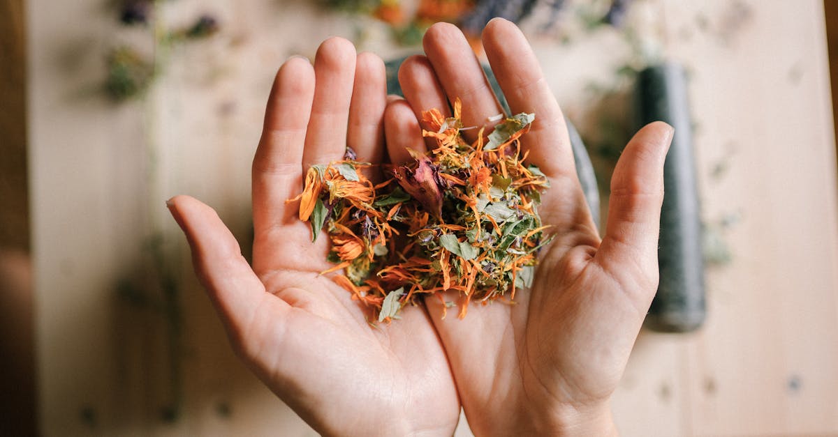 discover effective natural remedies to enhance your well-being. explore holistic approaches to health that promote healing and prevent illness, using nature's best ingredients.