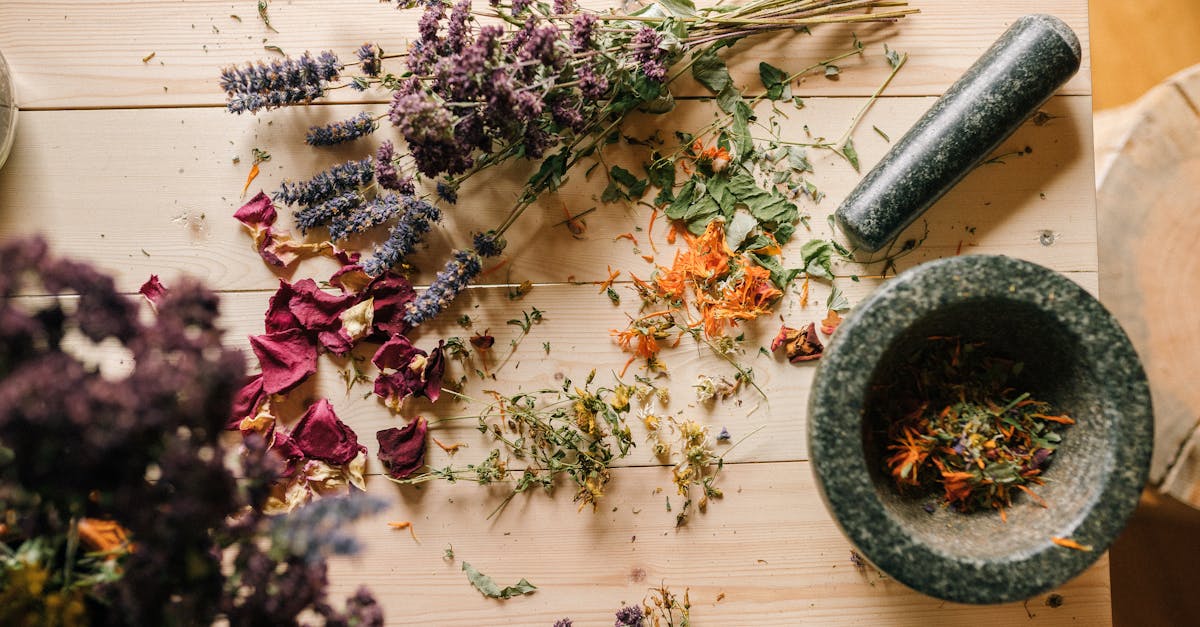 explore effective natural remedies for common ailments and promote holistic health. discover safe, accessible solutions to enhance your well-being using nature's bounty.