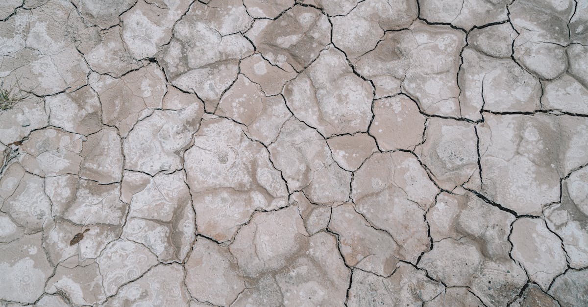 discover the causes, symptoms, and effects of dehydration, along with effective prevention and treatment strategies to maintain optimal hydration for your health and well-being.