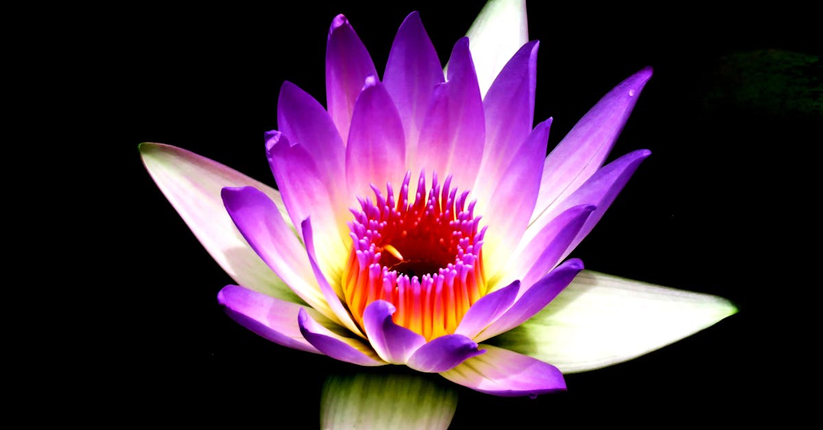 discover the transformative power of meditation. explore various techniques, benefits, and tips to enhance your mindfulness practice and achieve inner peace.