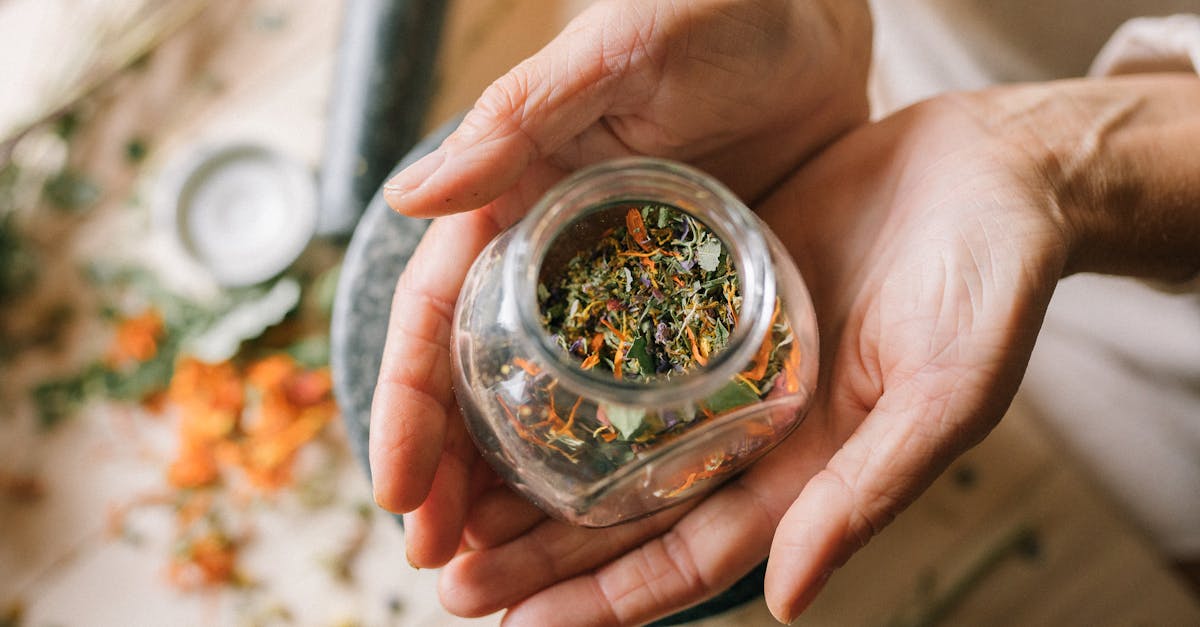 discover the power of natural remedies for enhancing your health and wellness. explore effective, safe, and time-tested solutions from nature to alleviate common ailments and promote overall well-being.