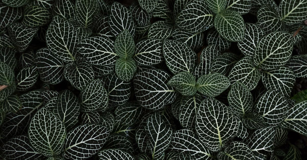 discover essential insights about pinched nerves, including causes, symptoms, treatment options, and effective prevention tips to alleviate pain and restore mobility.
