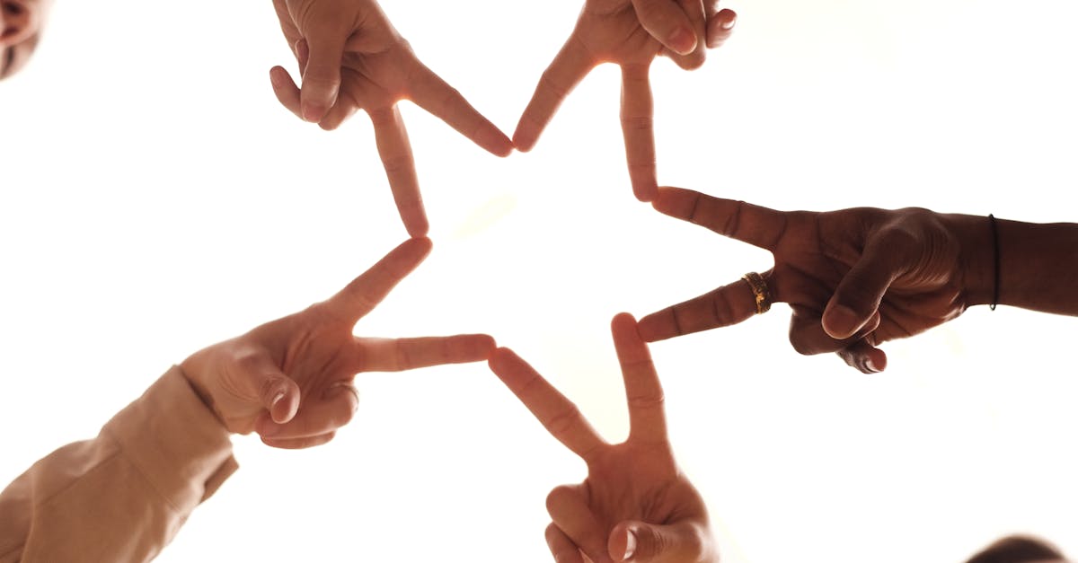 Favorise une communauté solidaire pour un apprentissage et un engagement continus.