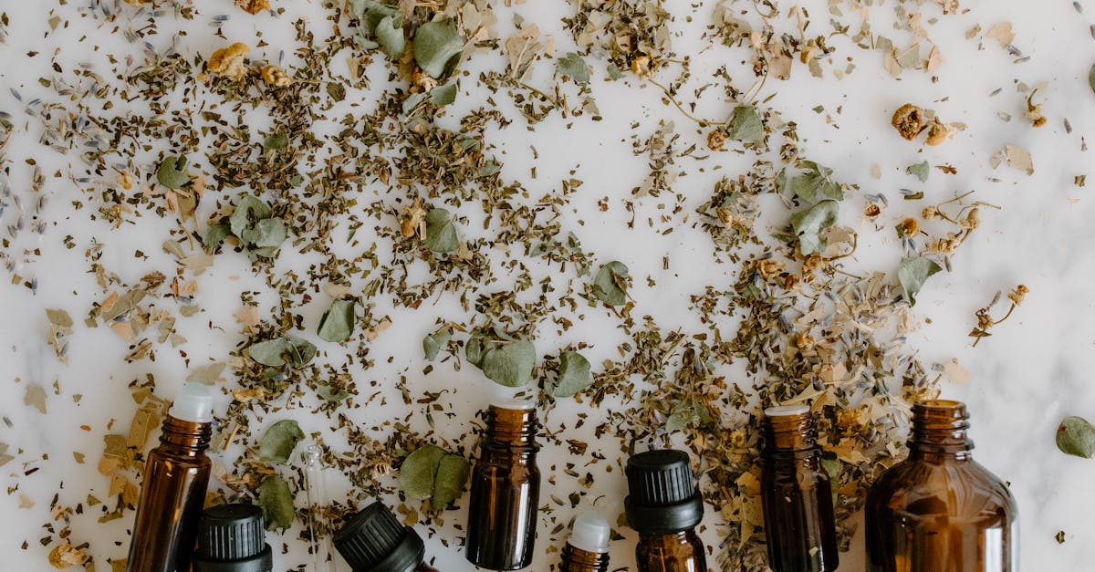 discover effective natural remedies to enhance your well-being. explore herbal treatments, essential oils, and holistic practices that promote health and vitality without harsh chemicals.