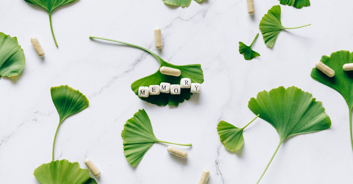 discover the power of natural remedies to enhance your well-being. explore effective herbal solutions, homeopathic treatments, and holistic practices that promote health naturally. unlock the secrets to a balanced life with nature's best healing options.