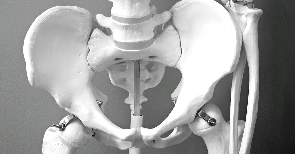discover the benefits of pelvic tilts for improved flexibility and posture. learn how to perform this simple yet effective exercise to strengthen your core and relieve lower back pain. perfect for all fitness levels!