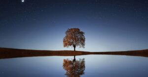 discover the ultimate relaxation techniques that help you unwind and rejuvenate your mind and body. explore strategies for stress relief, mindfulness, and finding tranquility in your daily life.
