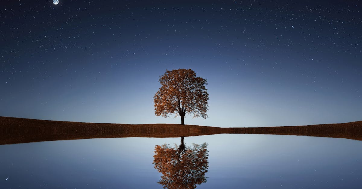 discover the ultimate relaxation techniques that help you unwind and rejuvenate your mind and body. explore strategies for stress relief, mindfulness, and finding tranquility in your daily life.