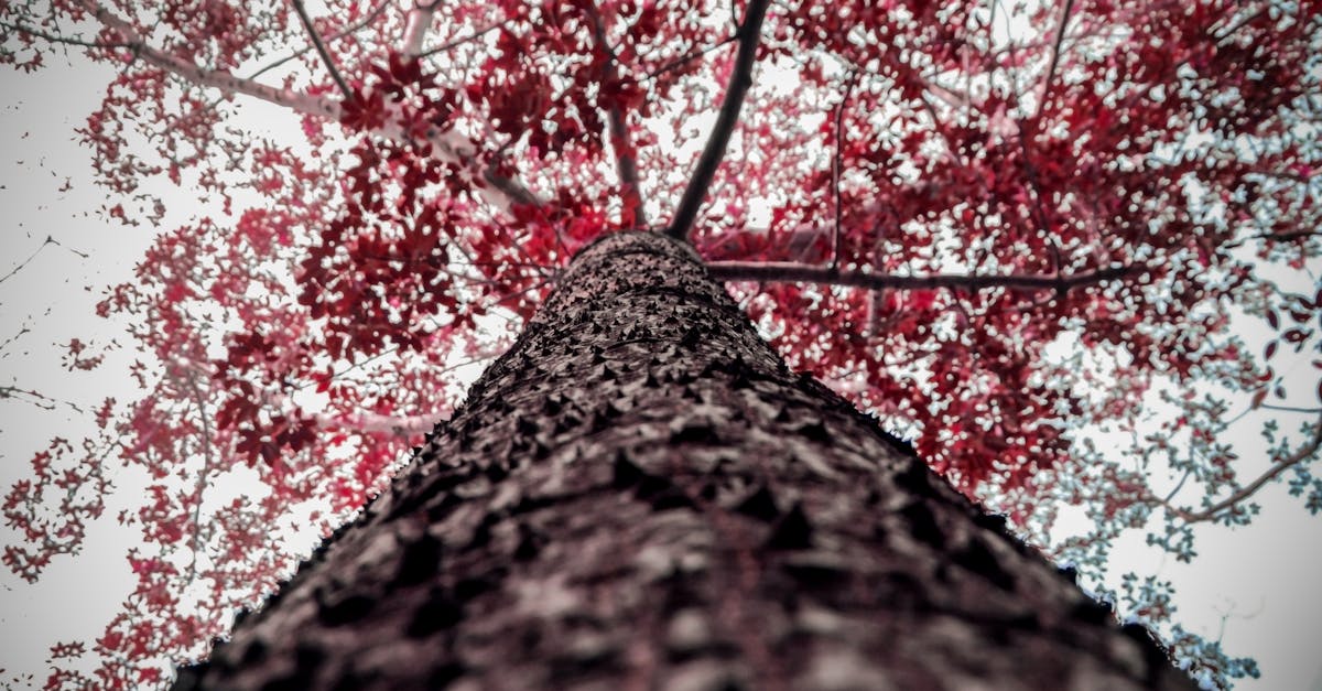 experience the thrilling sensation of vertigo as you explore its causes, symptoms, and the impact it can have on daily life. discover insights, treatments, and coping strategies to manage this disorienting condition effectively.