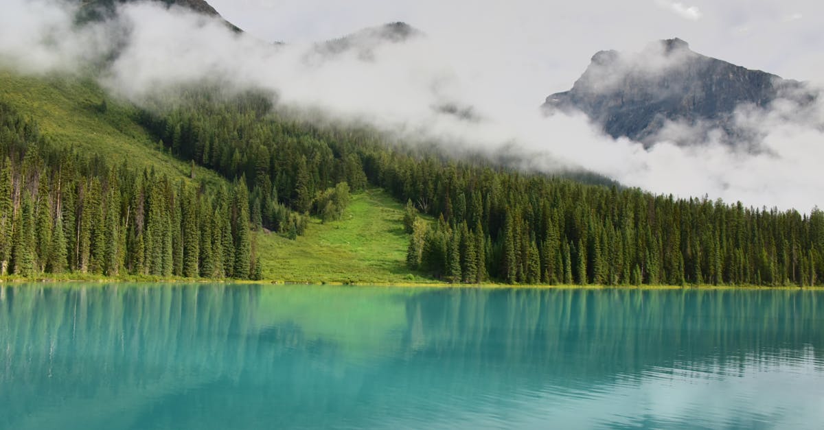 discover the true meaning of serenity with our in-depth guide. explore tips, inspiring quotes, and expert advice to bring calmness and peace into your everyday life.