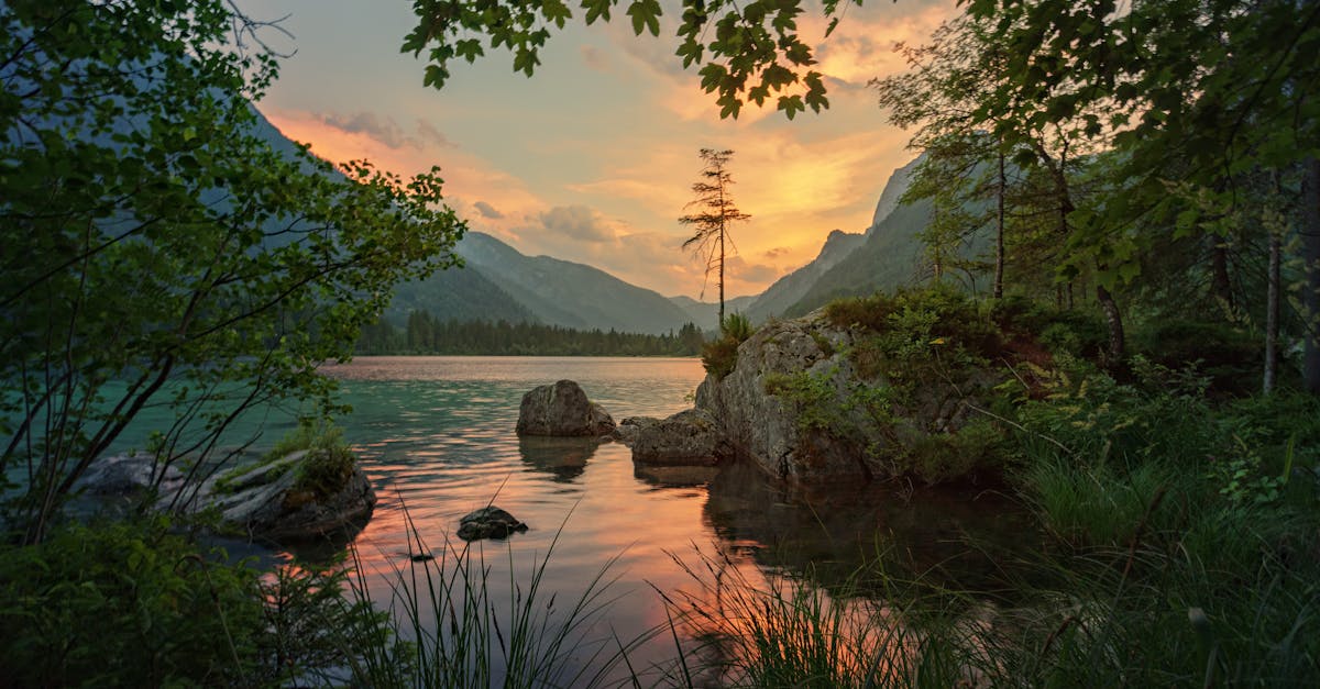 discover the true meaning of serenity. explore helpful tips, techniques, and insights to achieve inner peace and calmness in your daily life.