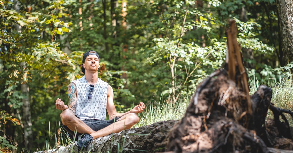 discover the essence of serenity with our insightful guide. learn how to bring peace and calm into your daily life, improve your well-being, and achieve inner balance.